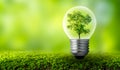 The bulb is located on the inside with leaves forest and the trees are in the light. Concepts of environmental conservation and Royalty Free Stock Photo