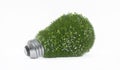 Bulb made of grass and flowers Royalty Free Stock Photo