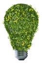 Bulb made of grass and flowers Royalty Free Stock Photo