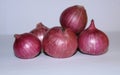 Bulb onion or common onion, some red onion allium cepa with white background. Royalty Free Stock Photo