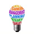 Bulb of skill teamwork management planning research target