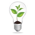 Bulb With Sprout. Vector