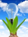 Bulb with wind turbine on plant Royalty Free Stock Photo