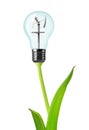 Bulb with wind turbine on plant Royalty Free Stock Photo