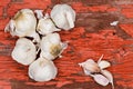 Bulbs and cloves of fresh uncooked garlic