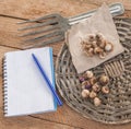 Bulbs of Ixia on a wooden table. Royalty Free Stock Photo