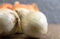 Bulbs of onions & x28;Allium cepa& x29; on concrete background Royalty Free Stock Photo