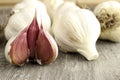 Bulbs of unpeeled garlic in a row on a gray background Royalty Free Stock Photo