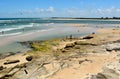 Bulcock beach in Caloundra, Queensland, Australia. Royalty Free Stock Photo