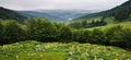 Bulgaria beauties - mountain Stara planina