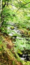 Bulgaria beauties - mountain Stara planina