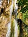 Bulgaria beauties - Rodopi mountain Royalty Free Stock Photo