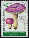 BULGARIA - CIRCA 1987: stamp 40 Bulgarian stotinka printed by Republic of Bulgaria, shows mushrooms Russula vesca Royalty Free Stock Photo