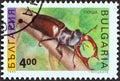 BULGARIA - CIRCA 1993: A stamp printed in Bulgaria from the `Insects` issue shows a Stag beetle, circa 1993. Royalty Free Stock Photo