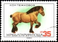 BULGARIA - CIRCA 1980: a stamp, printed in Bulgaria, shows a Heavy Horse