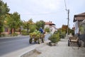 Bulgaria, donkey cart