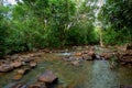 Bulgaria, Forest, Stream - Body of Water, Water, River Royalty Free Stock Photo