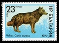 Bulgaria `Wildlife` series postage stamp, 1977