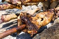 Bulgarian barbecue lamb baking Royalty Free Stock Photo