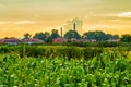 Bulgarian countryside summer landscape Plovdiv valley Royalty Free Stock Photo