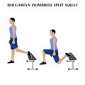 Bulgarian dumbbell split squat exercise strength workout vector illustration