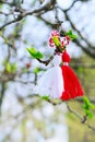 Bulgarian Martenitsa on the tree branch Royalty Free Stock Photo