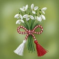 Bulgarian Martenitsa Tradition ,Snowdrop Bouquet With Martenitsa Royalty Free Stock Photo