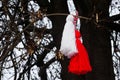 Bulgarian martenitsa on a tree Royalty Free Stock Photo