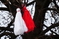 Bulgarian martenitsa on a tree Royalty Free Stock Photo