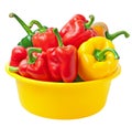 Bulgarian pepper Royalty Free Stock Photo