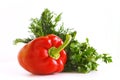 Bulgarian pepper, dill, parsley Royalty Free Stock Photo