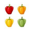 Bulgarian pepper. A set of Bulgarian sweet peppers of different colors. Sweet vegetable. Vector illustration on a white Royalty Free Stock Photo