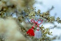 Bulgarian symbol of spring martenitsa bracelet. March 1 tradition white and red cord martisor and the first blossoming tree to Royalty Free Stock Photo