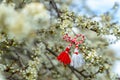 Bulgarian symbol of spring martenitsa bracelet. March 1 tradition white and red cord martisor and the first blossoming tree to