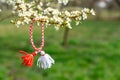 Bulgarian symbol of spring martenitsa bracelet. March 1 tradition white and red cord martisor and the first blossoming tree to Royalty Free Stock Photo