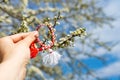 Bulgarian symbol of spring martenitsa bracelet. March 1 tradition white and red cord martisor and the first blossoming tree to Royalty Free Stock Photo