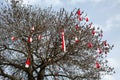 Bulgarian traditional custom spring sign Martenitsa on the tree Royalty Free Stock Photo