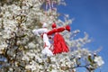 Bulgarian traditional spring decor martenitsa on the blossom tree. Baba Marta holiday. Royalty Free Stock Photo