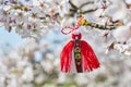 Bulgarian traditional spring decor Martenitsa on the cherry blossom tree. Baba Marta holiday. Royalty Free Stock Photo