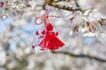 Bulgarian traditional spring decor Martenitsa on the cherry blossom tree. Baba Marta holiday. Royalty Free Stock Photo