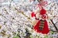 Bulgarian traditional spring decor Martenitsa on the cherry blossom tree. Baba Marta holiday. Royalty Free Stock Photo