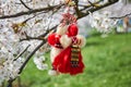 Bulgarian traditional spring decor Martenitsa on the cherry blossom tree. Baba Marta holiday. Royalty Free Stock Photo