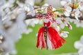 Bulgarian traditional spring decor Martenitsa on the cherry blossom tree. Baba Marta holiday. Royalty Free Stock Photo