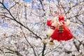 Bulgarian traditional spring decor Martenitsa on the cherry blossom tree. Baba Marta holiday. Royalty Free Stock Photo