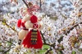 Bulgarian traditional spring decor Martenitsa on the cherry blossom tree. Baba Marta holiday. Royalty Free Stock Photo