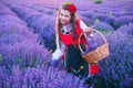 Bulgarian woman in traditional folklore costume picking lavender in basket during sunset. Young girl in a field. Royalty Free Stock Photo