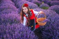 Bulgarian woman in traditional folklore costume picking lavender in basket during sunset. Young girl in a field Royalty Free Stock Photo