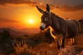 Bulgarias charm, donkey silhouette embraces the beauty of sunset Royalty Free Stock Photo