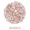 Bulgaricus Icon. Probiotic Concept Logo and Label. Health Research Symbol, Icon and Badge. Cartoon Vector illustration
