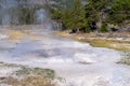 Bulger Geyser in Yellowstone National Park Royalty Free Stock Photo